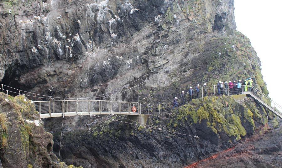 ddukgobbins12.jpg