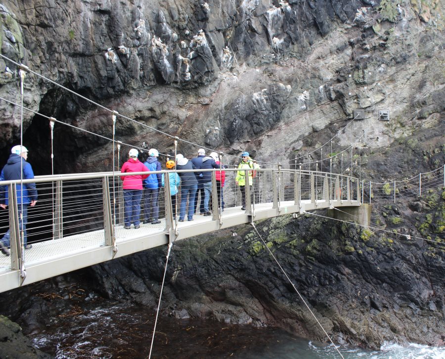 ddukgobbins4.jpg