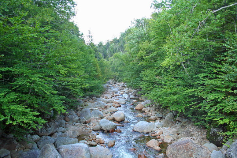 ponhdryriver20.jpg